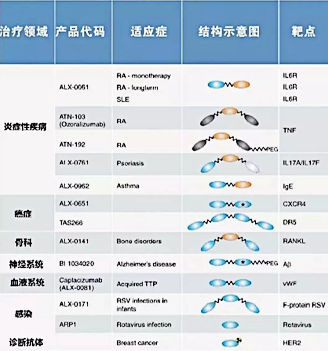 行研 | 納米抗體 – 抗體界的“百變星君”，如何突破抗體藥的激烈重圍？-肽度TIMEDOO